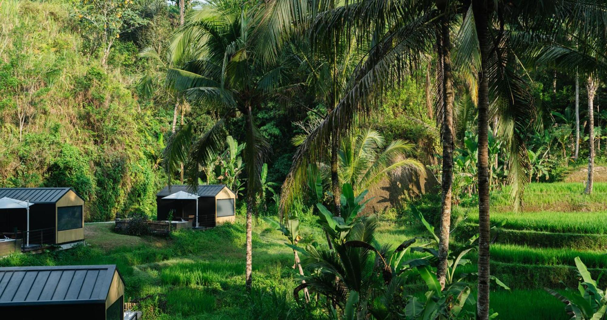 Bobocabin Ubud, Bali Exterior foto